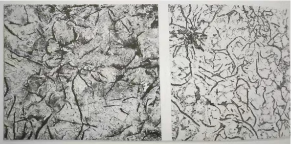 Metallographic Structure for enamel on cast iron